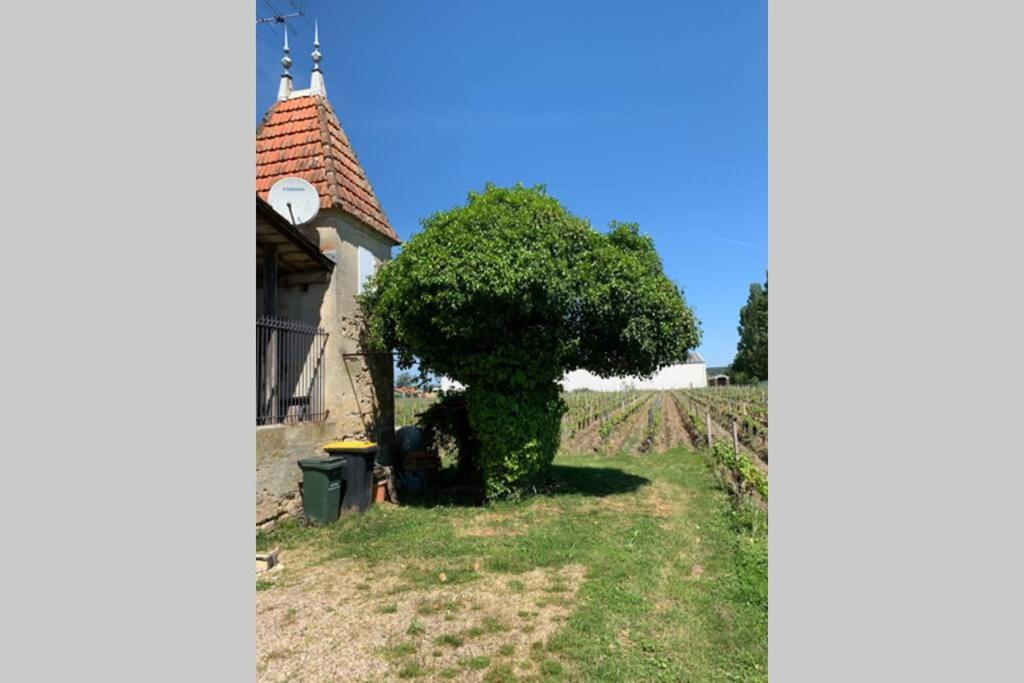 Chateau Roseyrol Proche Saint-Emilion Bagian luar foto